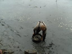 Abfischen 2006